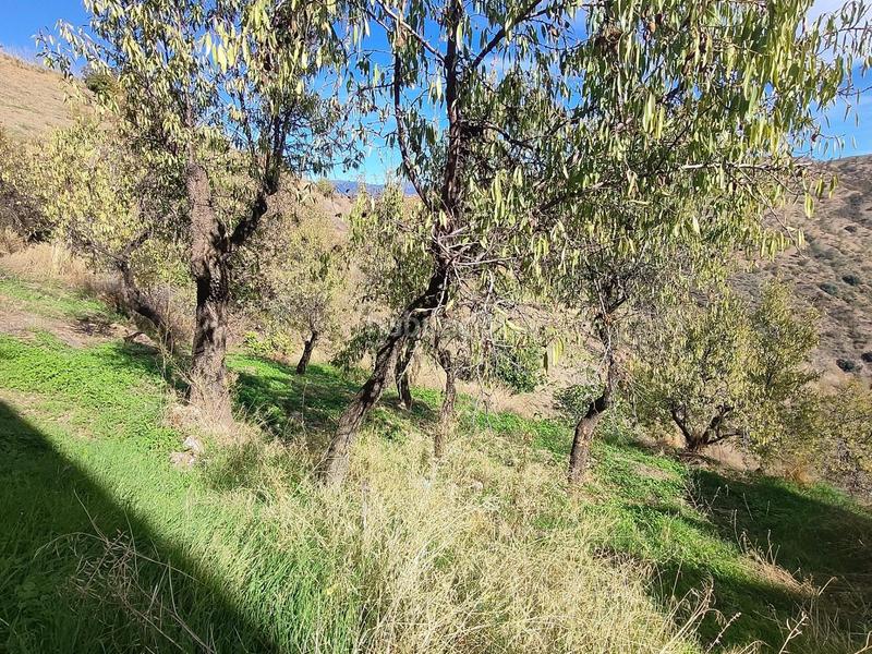 Foto 05cc3b3b-faf1-4d23-8f90-d2798a3451ad. Rural plot in Cástaras