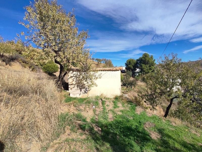 Foto 459c0013-8486-4c54-a6fb-977a5035f97b. Rural plot in Cástaras