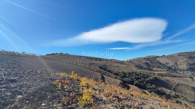 Foto 4730a82c-dbfc-4819-a62b-27f05eadb2f5. Rural plot in Cástaras