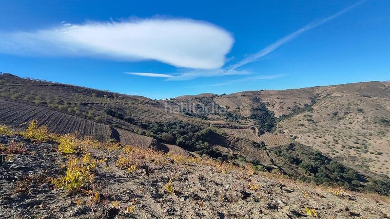 Foto 482f9b20-c9f4-4a3e-8f69-0389ae791969. Rural plot in Cástaras