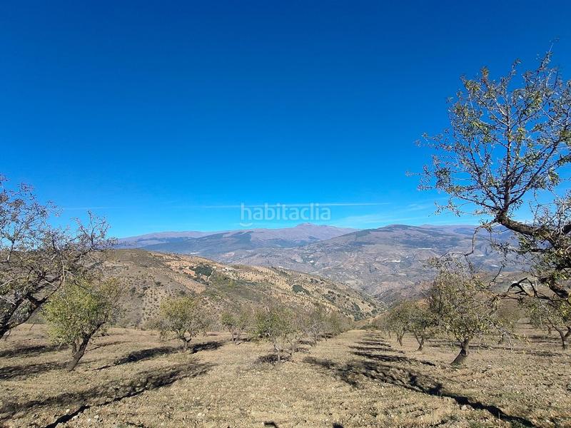 Foto 4b36494a-2e60-47a6-b731-6c3d53113546. Rural plot in Cástaras