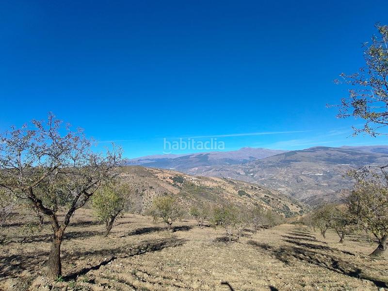 Foto 6885fa6c-67c2-4854-9f96-da732a531e3f. Rural plot in Cástaras