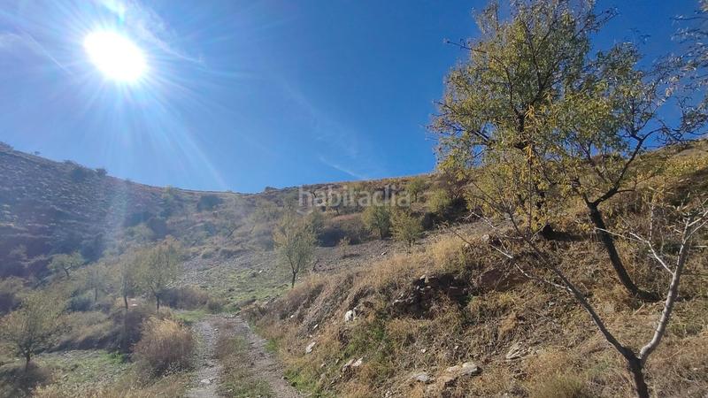 Foto 69c229c3-8d6b-4cef-b658-06c0638e9a15. Rural plot in Cástaras