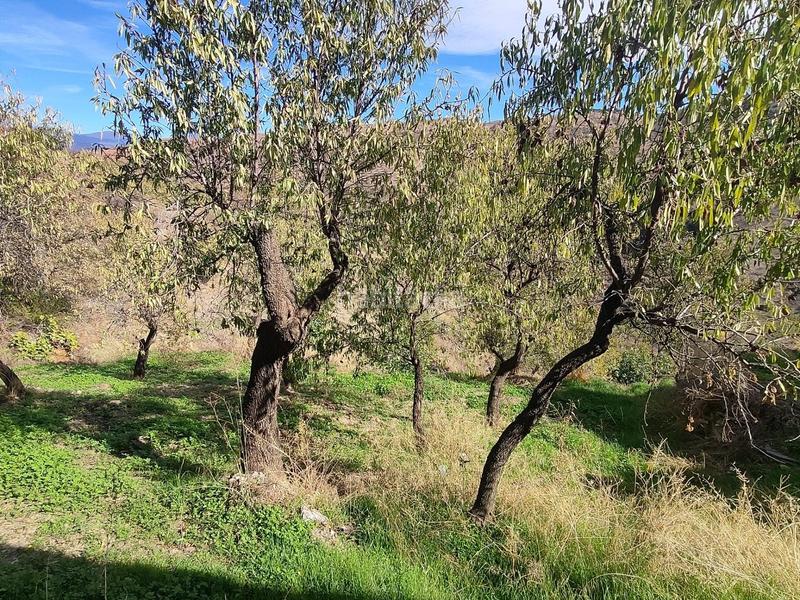 Foto 6a893532-879b-4d38-a8ca-f5daf455e4ab. Rural plot in Cástaras