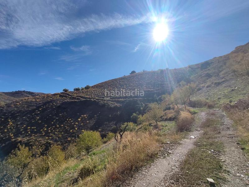 Foto 74fc80a0-8a02-4178-8def-73bb19e88f92. Rural plot in Cástaras