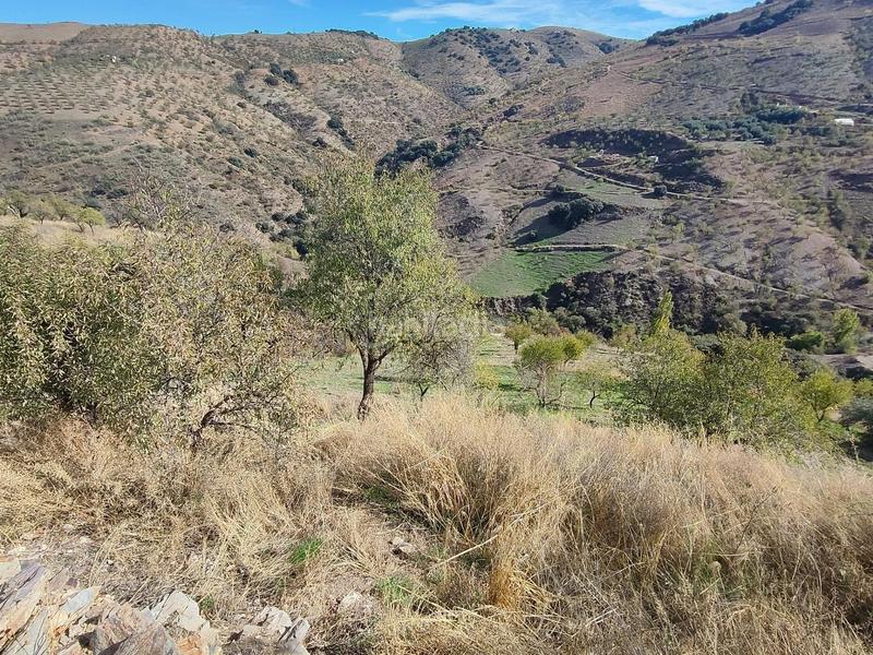 Foto 777ea82e-3b0f-4dec-9a97-99b65c9dceb9. Rural plot in Cástaras