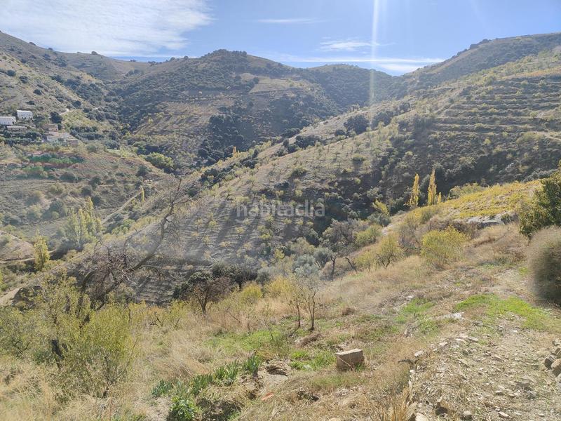 Foto 8217019b-5b91-4bb4-8aaa-45db9806a710. Rural plot in Cástaras