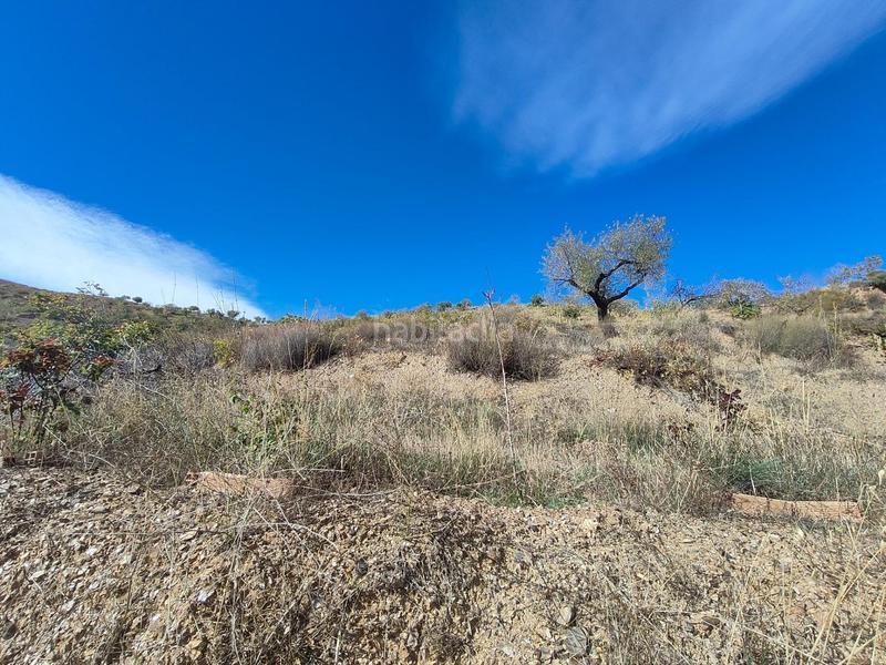 Foto 8e7d900a-0c1f-41be-a7d6-b3ba2a2842bc. Rural plot in Cástaras