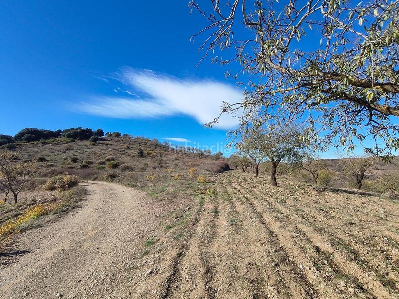 Foto 904bebe9-33db-43e7-978a-746f8e645988. Rural plot in Cástaras