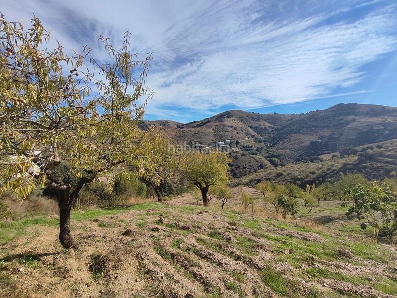 Foto baae8bd3-dd91-4ead-9667-4e5761f7b8ce. Rural plot in Cástaras