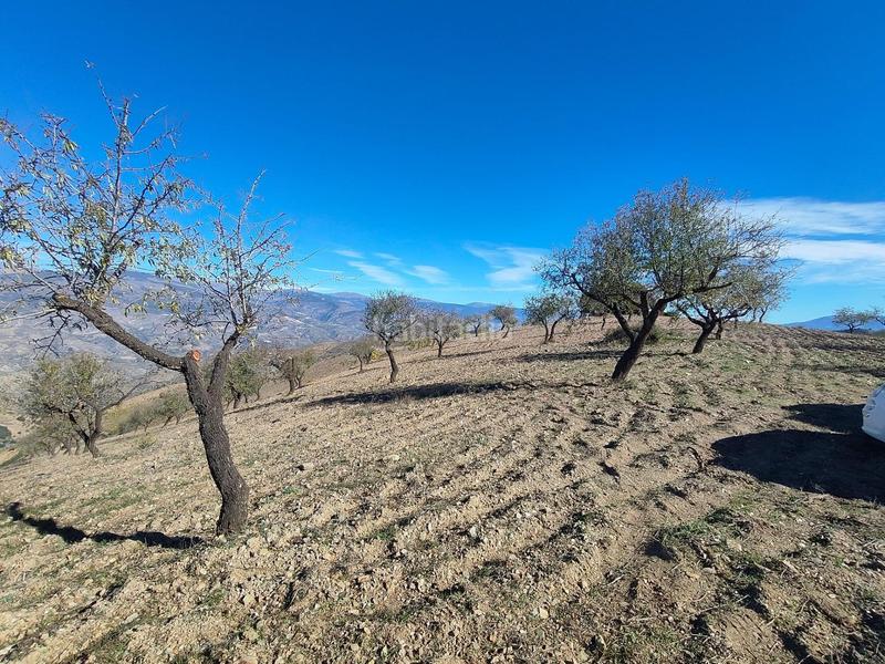 Foto bfd28d8d-564d-4262-a881-12b924f88e41. Rural plot in Cástaras