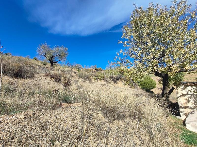 Foto c35f5af9-9b6a-4f34-b6f4-e50bdceeec91. Rural plot in Cástaras