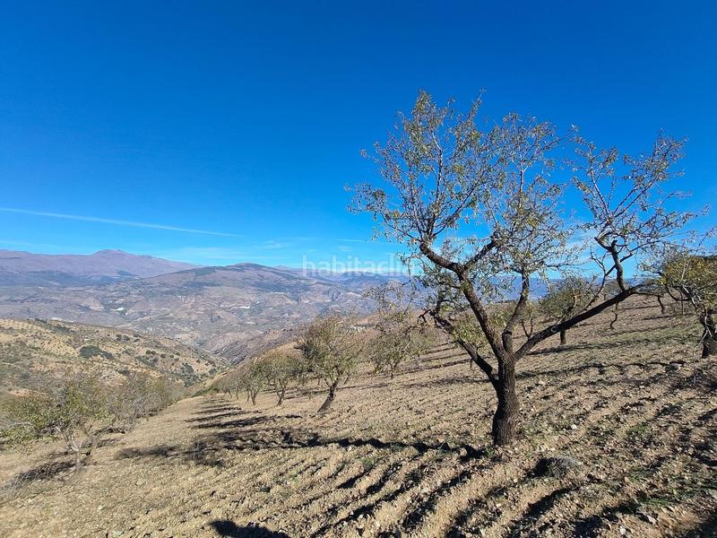 Foto c789f1fb-7beb-49dd-b9b4-15cd5478ab7d. Rural plot in Cástaras