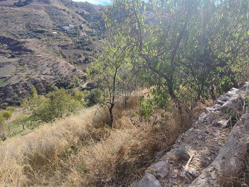 Foto d779fcc4-0b20-4359-bdc1-578510aea267. Rural plot in Cástaras