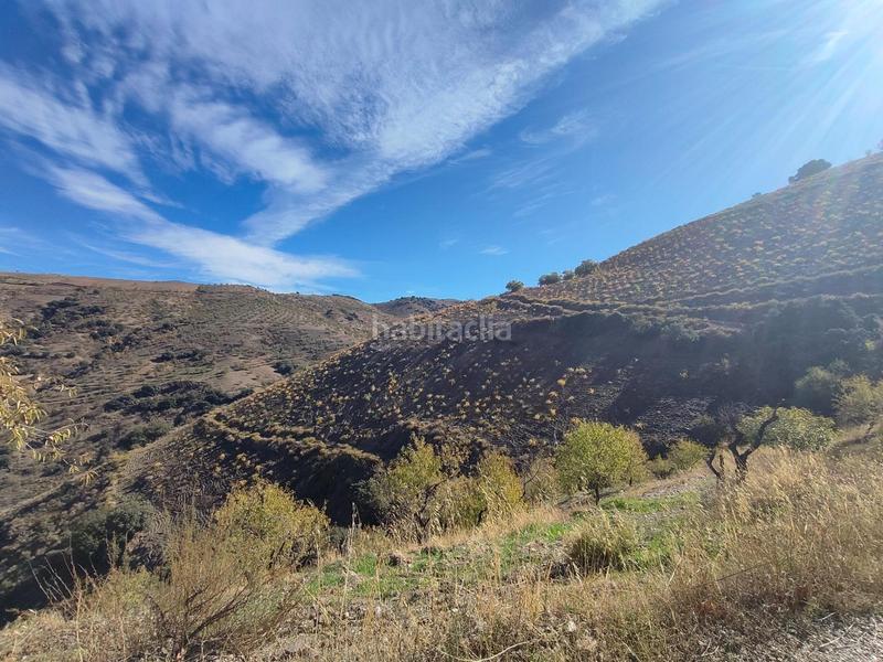 Foto dd6ed86c-363e-4f9b-8e9c-74a2dbe8b279. Rural plot in Cástaras