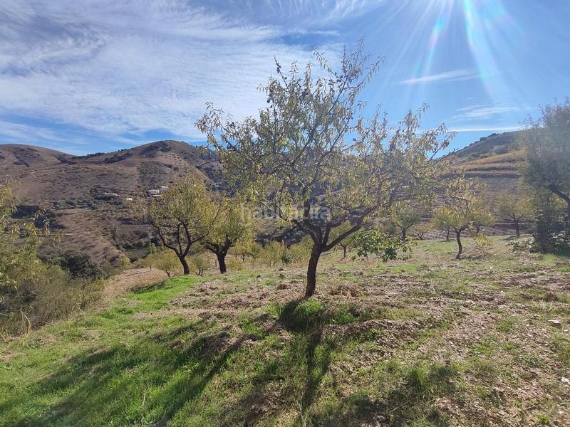 Foto ea8671c1-fb7b-467b-afa9-d744e7ea458f. Rural plot in Cástaras