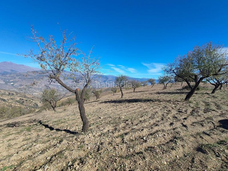 Foto f75e1626-7232-4fc9-b153-8c443b7506ed. Rural plot in Cástaras