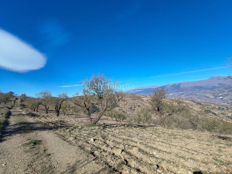 Foto fbafeb32-6b98-4b09-a39b-4c14a1a5d645. Rural plot in Cástaras