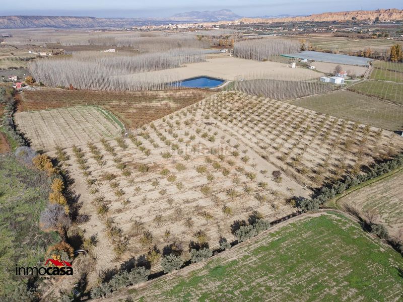 Foto 12e8cfe9-1eaf-4e69-9a7b-821fdad74692. Finca rústica a Guadix