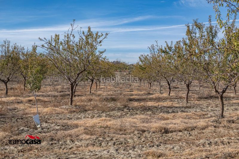 Foto 6b6f3398-b9b5-4f9a-b55a-c3c49d57340b. Finca rústica a Guadix