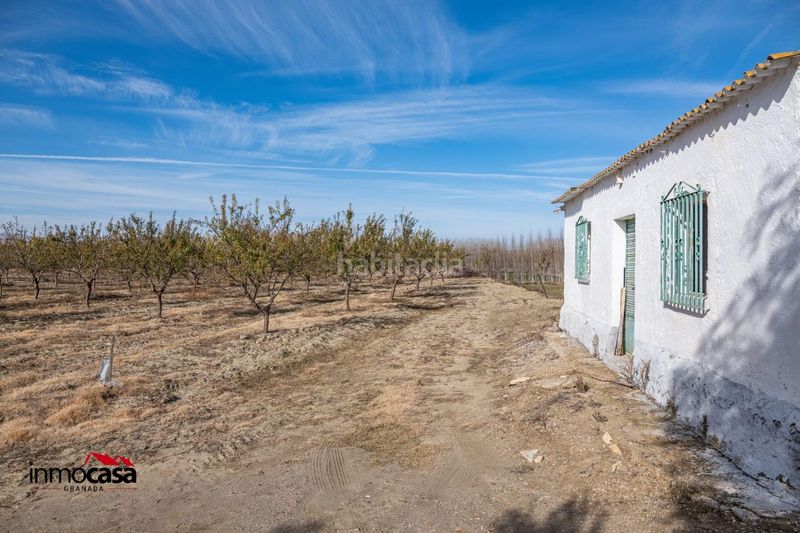 Foto 70a78c02-71bd-49ba-b61b-1ad2e332323e. Finca rústica a Guadix