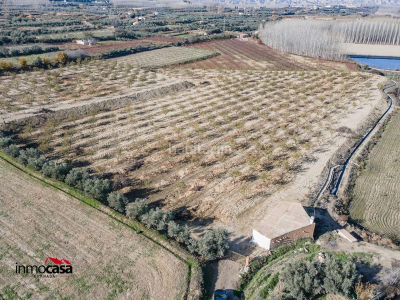 Foto 87d067ab-8091-4afd-b2a8-3874ef5d5084. Finca rústica a Guadix