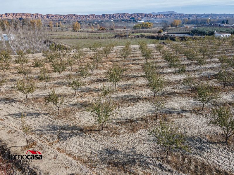 Foto 8e2c8d4f-efdf-4059-9357-d1246ac0f744. Finca rústica a Guadix