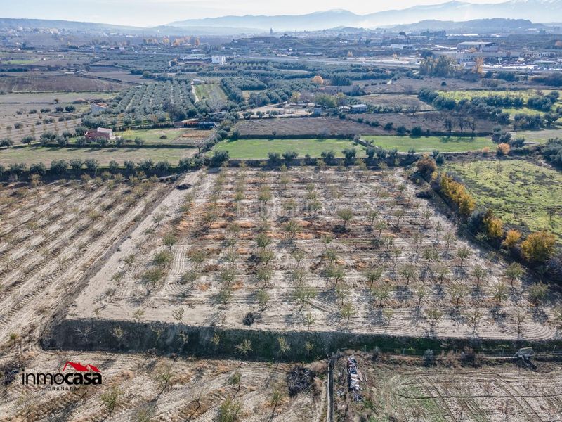 Foto d94558ef-ec0b-4a85-bfae-6725e5bdd1c3. Finca rústica a Guadix