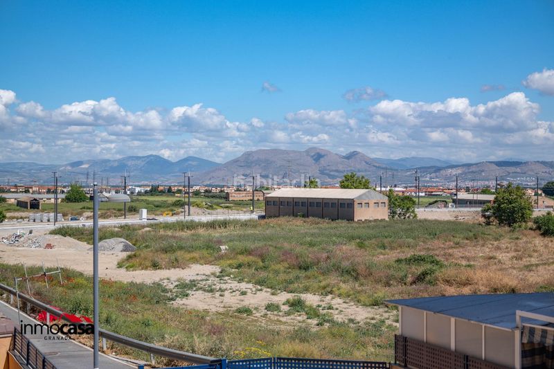 Foto f838a601-9e0f-442f-a999-0cbfcfe37ba3. Pis a calle fray junipero serra 4 a Residencial Triana - Barrio Alto Gabias (Las)