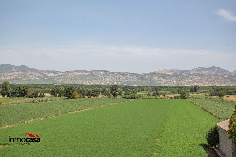 Foto 2f8ffc64-11de-4f1e-8008-31aff5012ce8. Pis a Cijuela