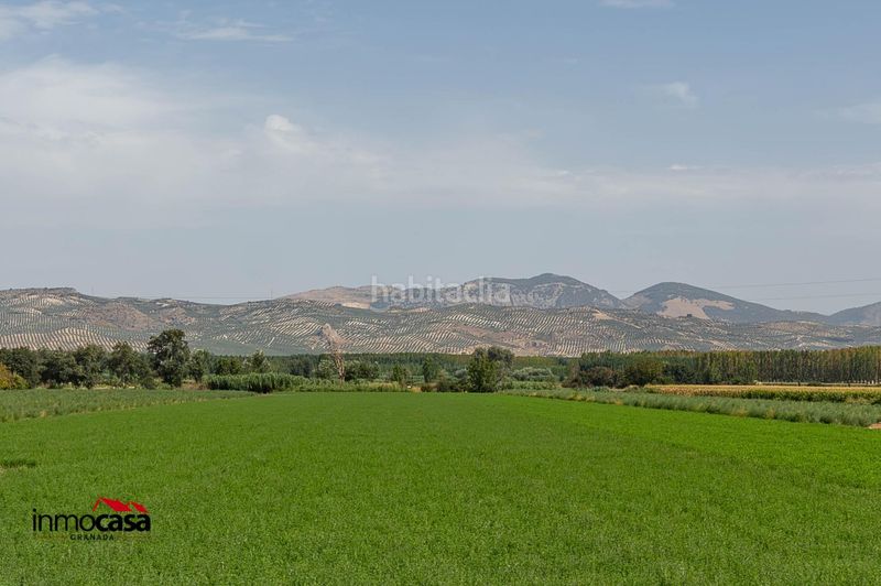 Foto 9ca0a57f-6273-446f-8b92-951187a933f0. Pis a Cijuela