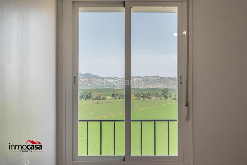 Foto ff246fd1-3432-4764-a0ef-325ba8f6e572. Pis a Cijuela