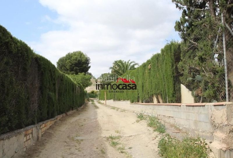Foto 88d13058-a422-41fb-a92f-d8392af798b0. Finca rústica a Las Flores - Huerta Gabias (Las)