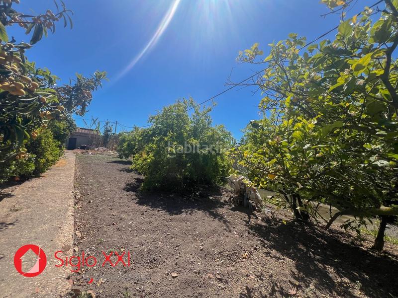 Foto e2e7603f-0cbe-463b-8034-c5dcc756a477. Xalet a El Grao Castellón de la Plana