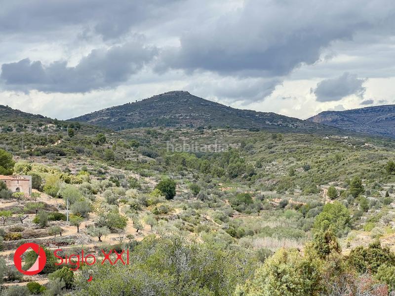 Foto d493005d-f6e8-445c-934b-d4ae4ef79ce1. Casale in Sierra Engarcerán