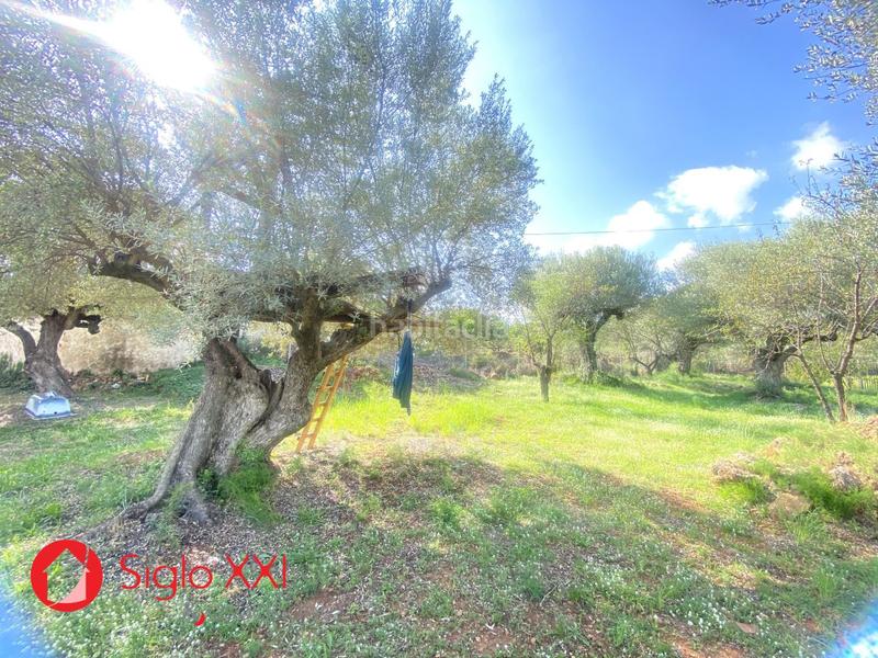 Foto bd87ddc2-abcb-472a-a6eb-0a0dd422d2a5. Chalet avec chauffage parking piscine dans Onda