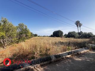 Terreny residencial a Madrigal. Terreno de 2.337m2 que cuenta con agua de pozo y vecinos alreded