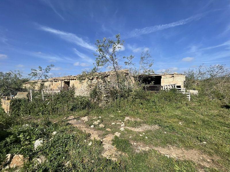 Foto cdf64d64-07cb-4261-bb37-21b934e85370. Maison avec parking dans Cales de Mallorca Manacor