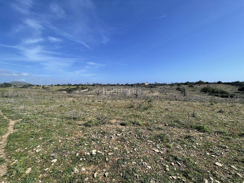 Foto d4c683db-f119-4eea-a52e-bde84264774c. Maison avec parking dans Cales de Mallorca Manacor