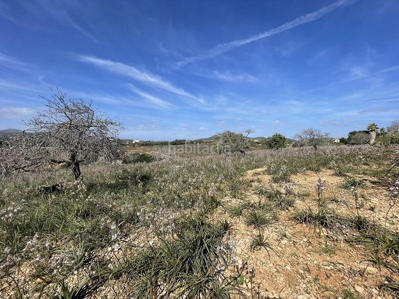 Foto a2a47b7c-cd35-44fe-bdee-972e9bdd8cf6. Terreny residencial a Cales de Mallorca Manacor