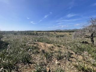 Terreny residencial  Carrer aucanada. Terreno de 42500 m2 cerca de calas de mallorca con vistas hasta