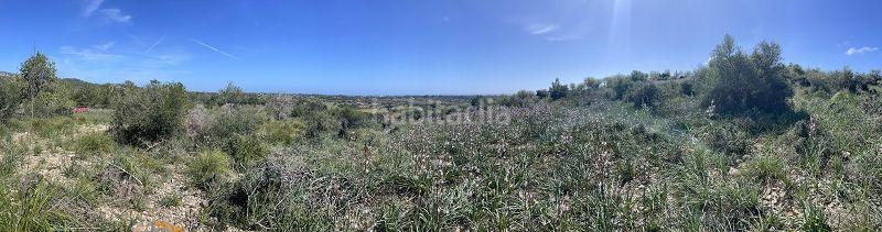 Foto 05aa93b3-fbf2-4d37-bdda-91adc89a7d46. Residential plot in Cala Murada Manacor