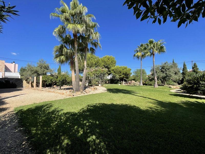 Foto 0a1b217b-7688-4d02-a0ed-765d448f9c61. Maison dans carrer rossini 23b dans Cala Pi-Vallgornera Llucmajor