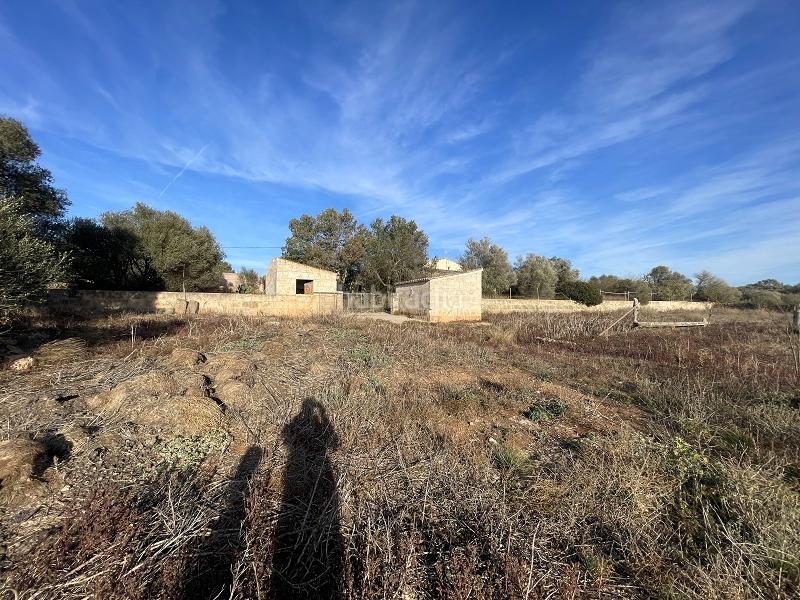 Foto a4dbdb34-6a12-49cf-a698-3770b85cd97a. Casa finca a reformar perfecto para tener caballos en Campos