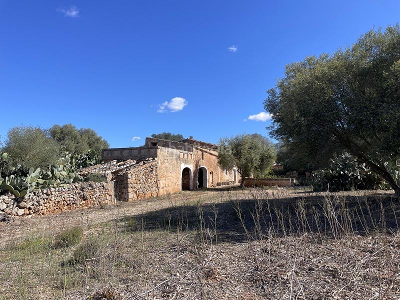 Foto da028749-067c-4041-8862-c326cd5722fe. Casale con camino in Zona Rústica - Interior Campos