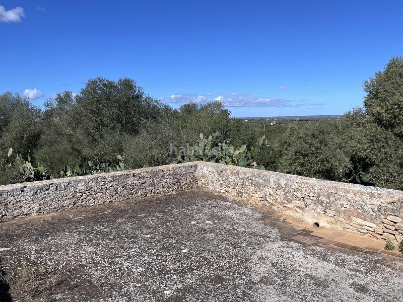 Foto df36eea2-4980-454e-8436-ff9cba301128. Casale con camino in Zona Rústica - Interior Campos