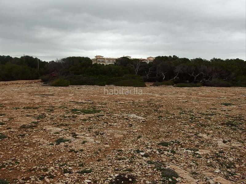 Foto 085eb673-0a4e-4e12-bbd7-3010166ce449. Wohngrundstück in Cala Pi-Vallgornera Llucmajor