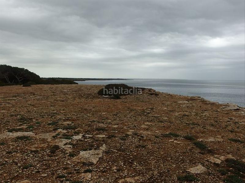 Foto ac80e162-90b8-4a0b-87f2-b366f2b5e7ae. Wohngrundstück in Cala Pi-Vallgornera Llucmajor