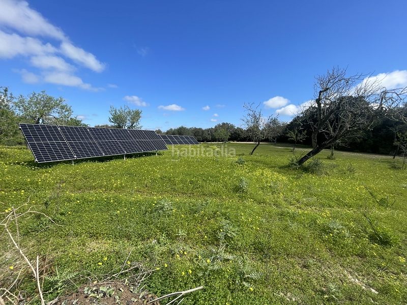 Foto d7f648ea-22f0-44a8-baca-c6bb8e146c42. Chalet with fireplace heating parking pool in Porreres
