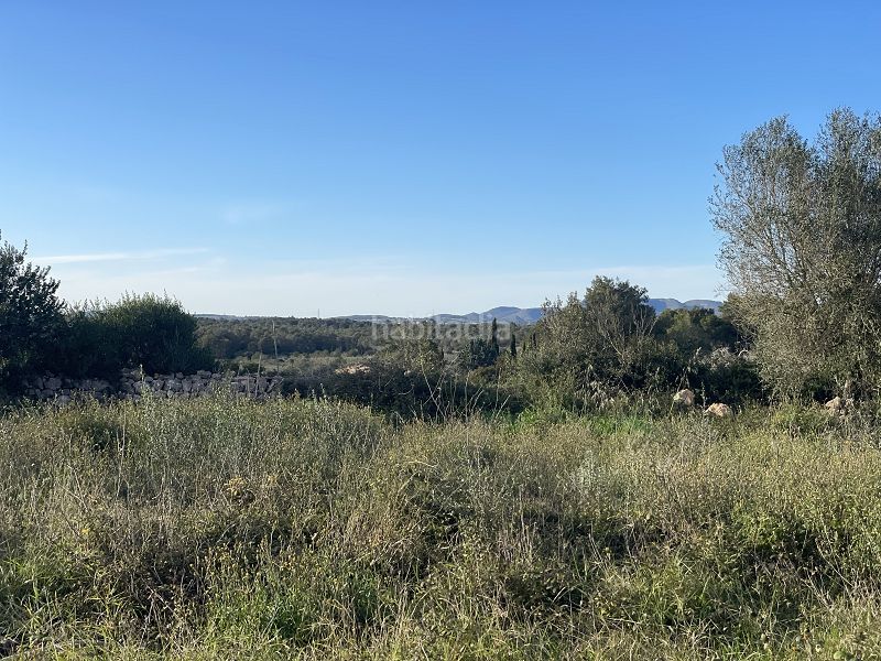 Foto 5933cba1-764f-4990-ba1b-c3bf51886f1a. Masia a carrer major 13 a Manacor centre Manacor